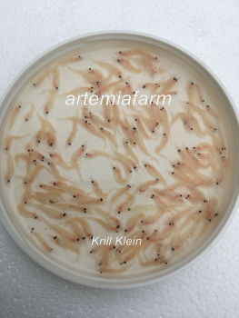Krill Pacifica Fine