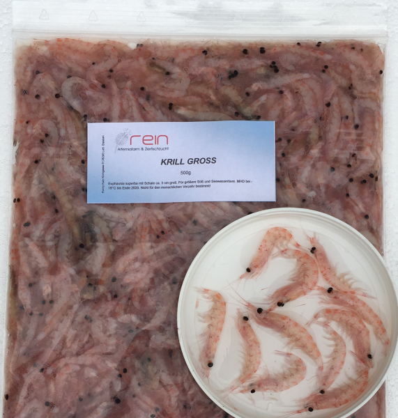 Krill Superba