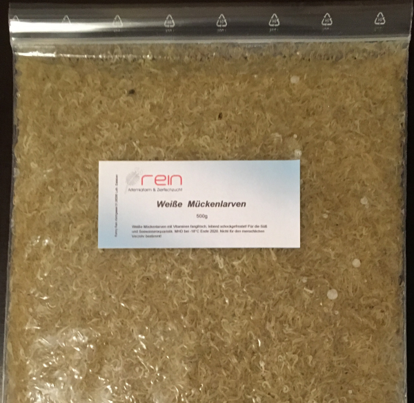 Weiße Mückenlarven