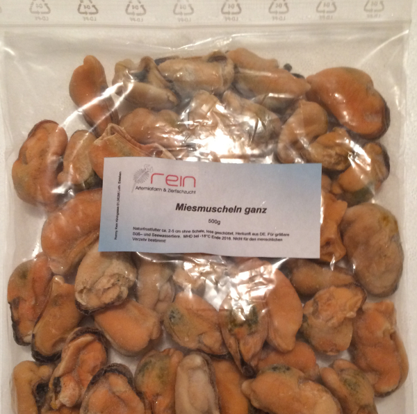 Miesmuschel,Mussels completely